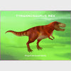 Dinosaur Deck